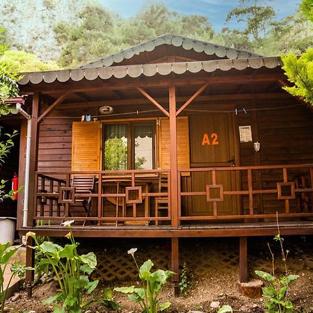 Ikiz Pension Bungalow Çıralı エクステリア 写真