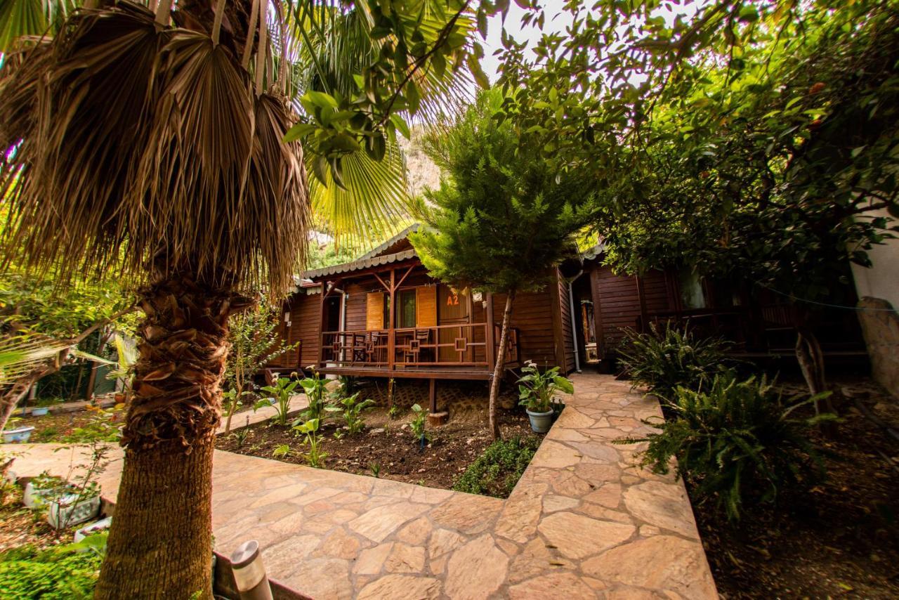 Ikiz Pension Bungalow Çıralı エクステリア 写真