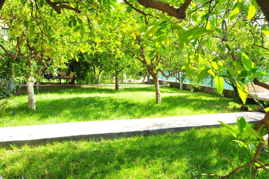 Ikiz Pension Bungalow Çıralı 部屋 写真